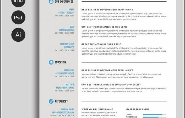 Template Of A Curriculum Vitae Microsoft Word