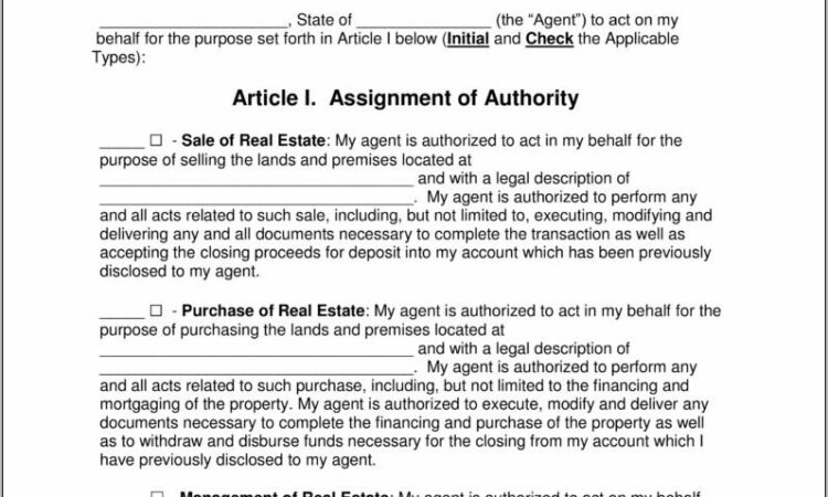 Template Power Of Attorney For Real Estate