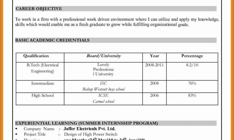 Template Resume Microsoft Word 2007