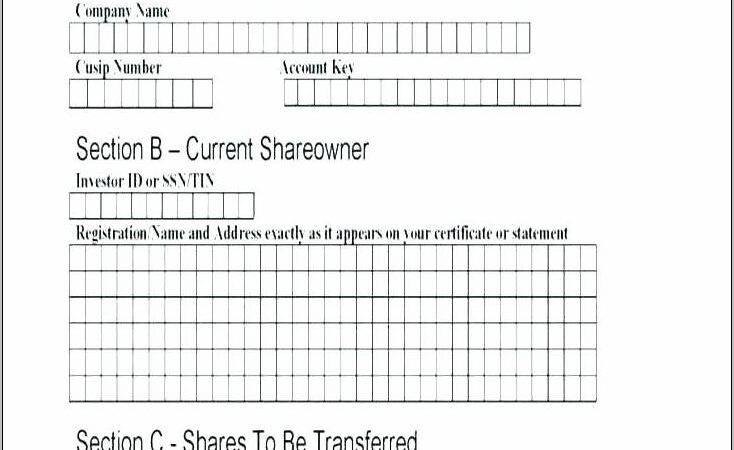 Template Stock Certificate Form