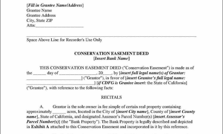 Temporary Easement Agreement Template