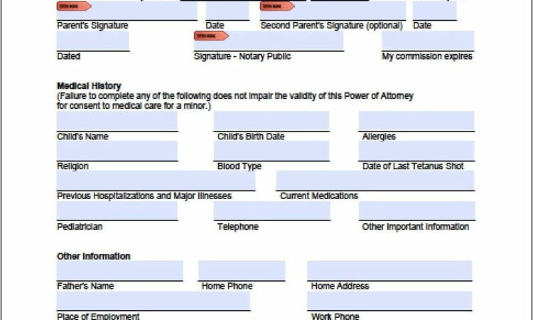 Temporary Power Of Attorney For Child Template