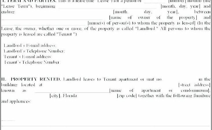 Tenant Agreement Form South Africa