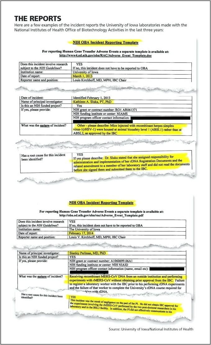 Tenant Reference Form Template