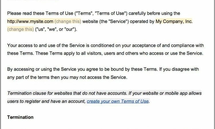 Terms And Conditions Template New Zealand