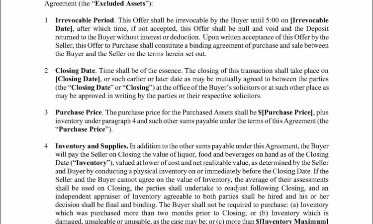 Texas Asset Purchase Agreement Form