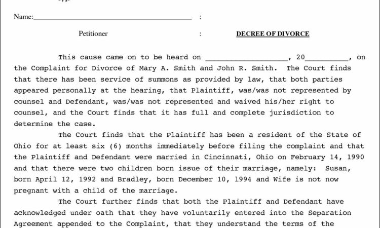 Texas Divorce Decree Template