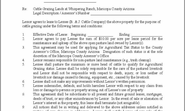 Texas Land Lease Agreement Template