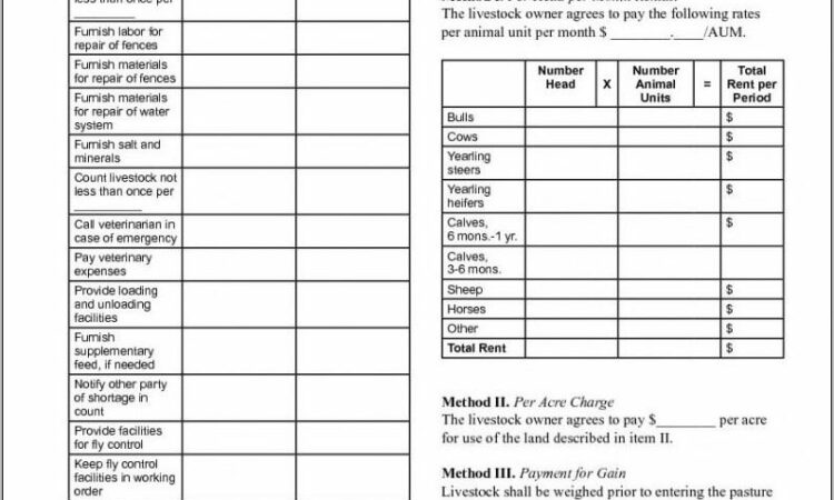 Texas Pasture Lease Agreement Template