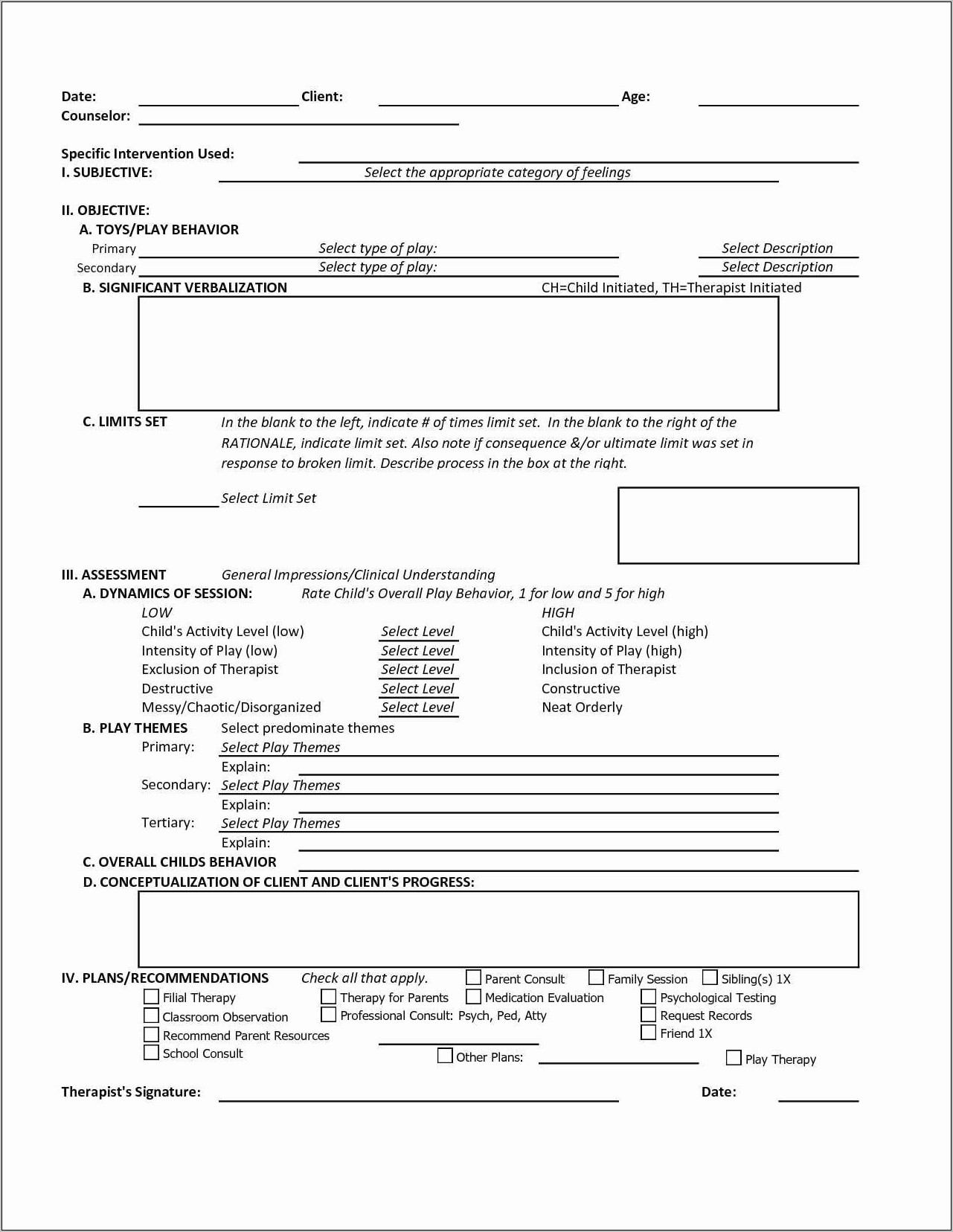 Therapist Soap Note Template