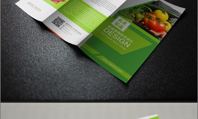 Three Fold Brochure Template Free Download