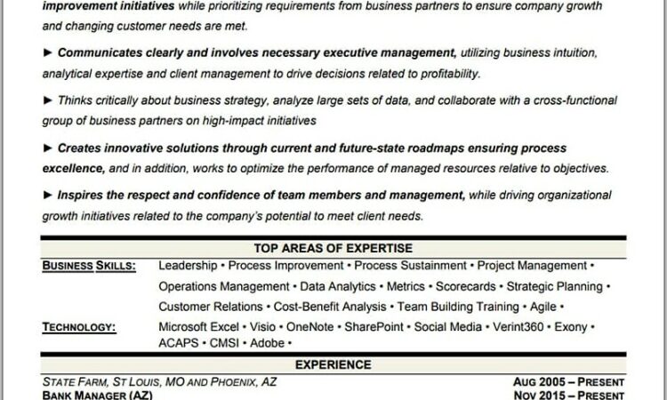 Top Executive Resume Samples