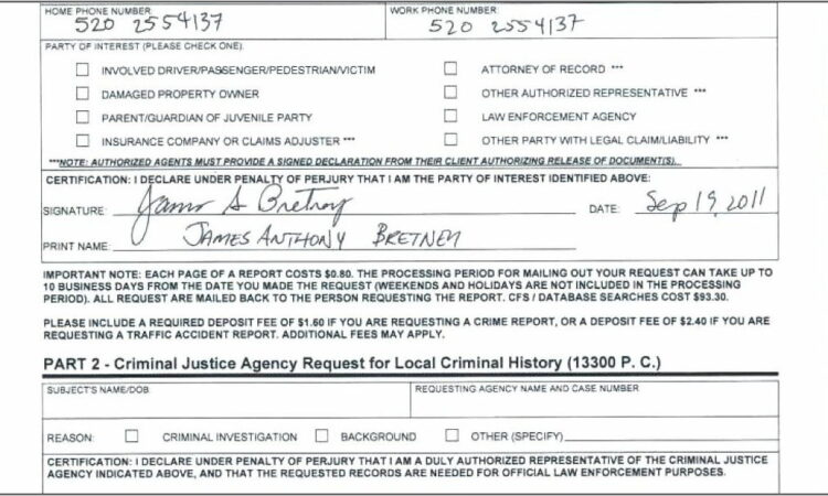 Traffic Accident Report Format