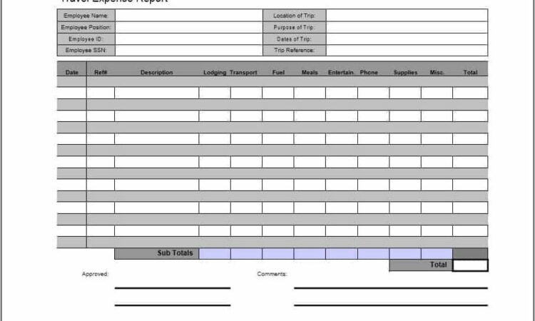 Travel Expense Report Template