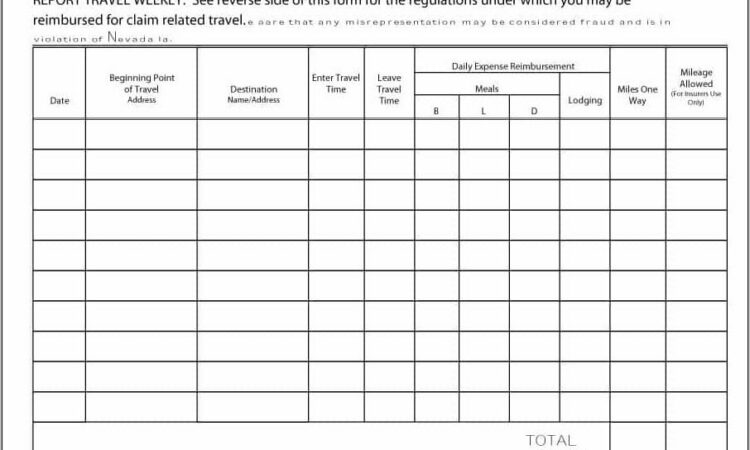 Travel Expense Sample Form