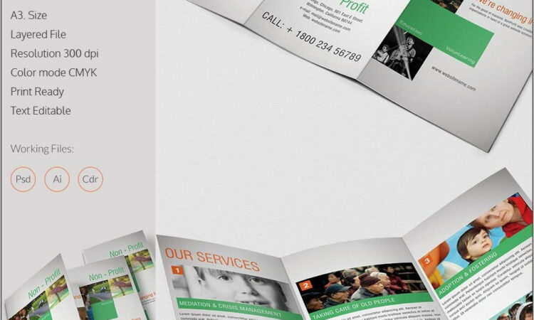 Tri Fold Brochure Template Free Word