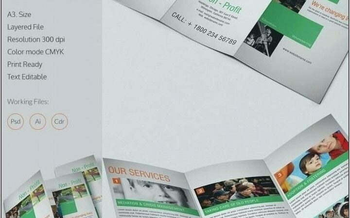 Tri Fold Brochure Template Indesign A4