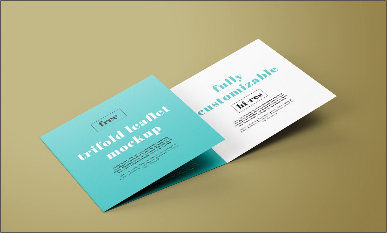 Tri Fold Brochure Template Indesign Free Download