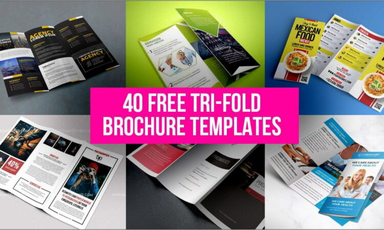 Tri Fold Brochure Template Publisher Free