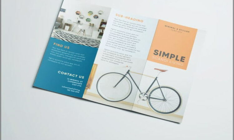 Tri Fold Brochures Templates Free Download