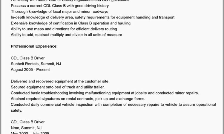 Truck Driver Resume Format Doc Download