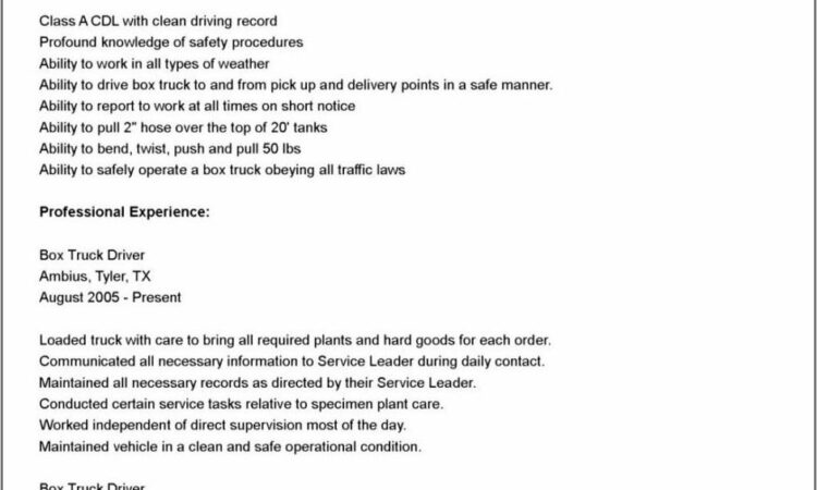 Truck Driver Resume Template Word