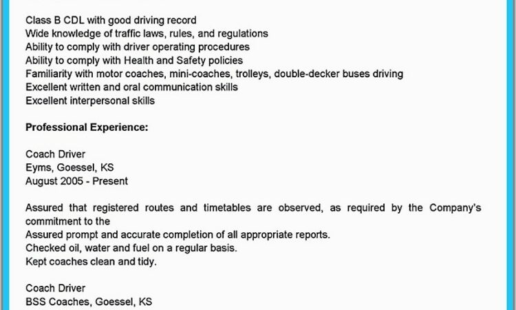 Truck Driver Summary Qualifications Resume