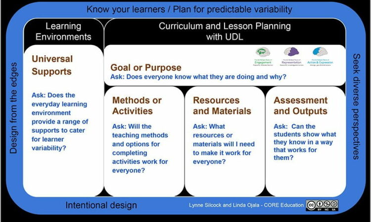 Universal Design Lesson Plan Sample