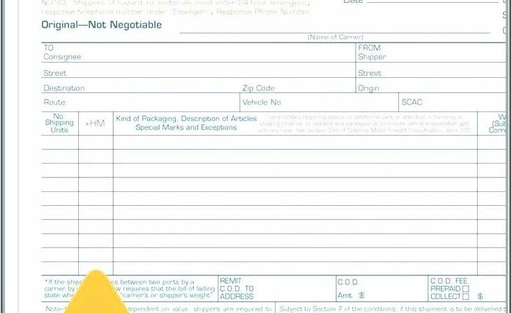 Ups Freight Bill Of Lading Form