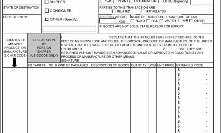 Us Customs Invoice Form Fillable