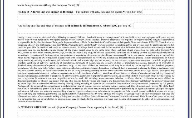 Us Customs Power Of Attorney Form