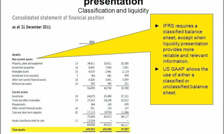 Us Gaap Financial Statements Format