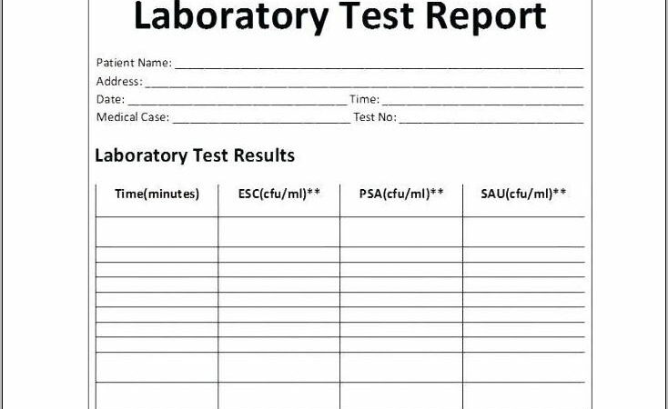 Usability Test Report Template