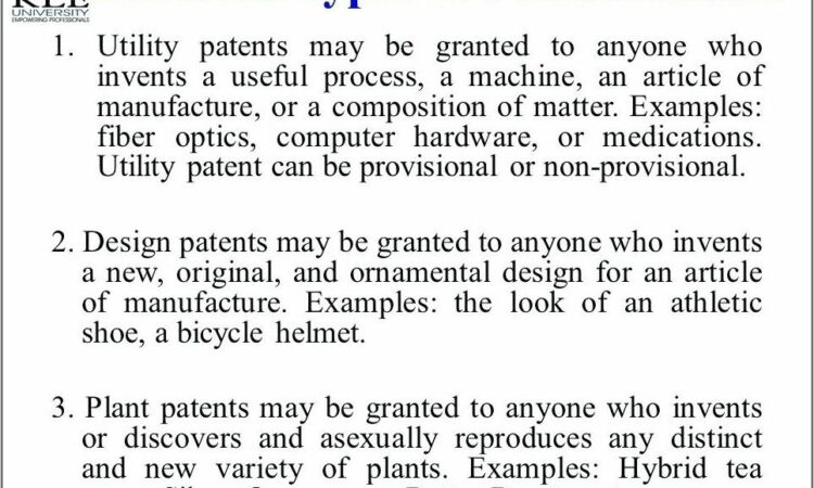 Utility Patent Application Example