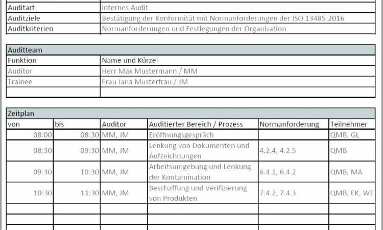 Vendor Audit Checklist Template