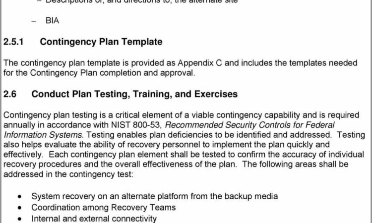 Vendor Contingency Plan Template