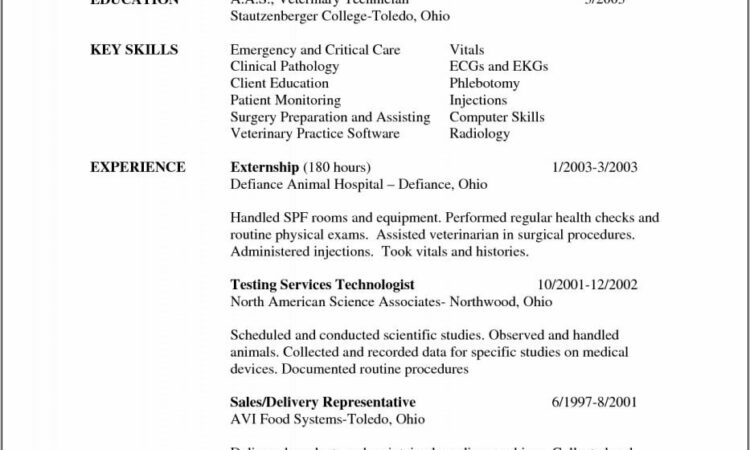 Vet Nurse Cv Template