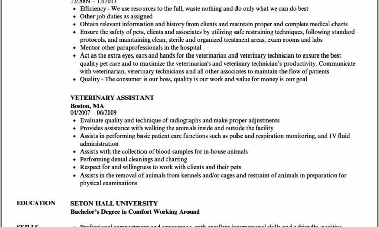 Veterinary Assistant Resume Example