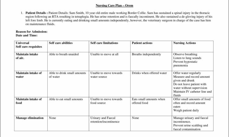 Veterinary Nursing Care Plans Templates