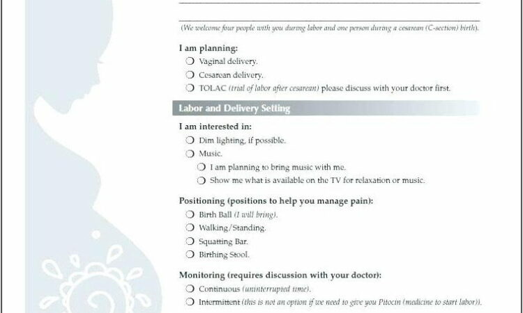 Visual Birth Plan Template Download