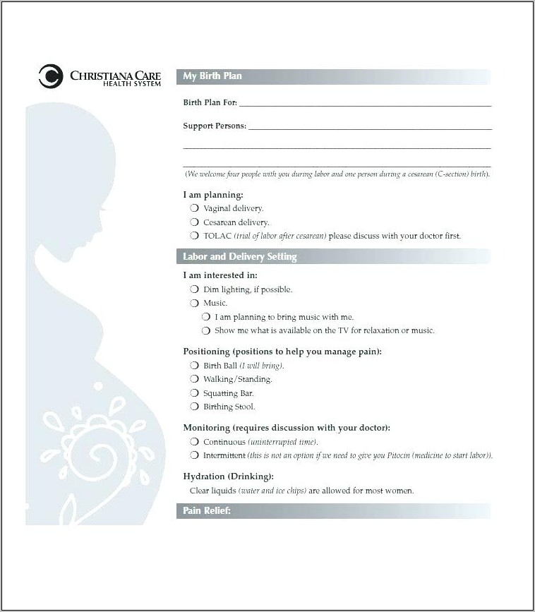 Visual Birth Plan Template Download