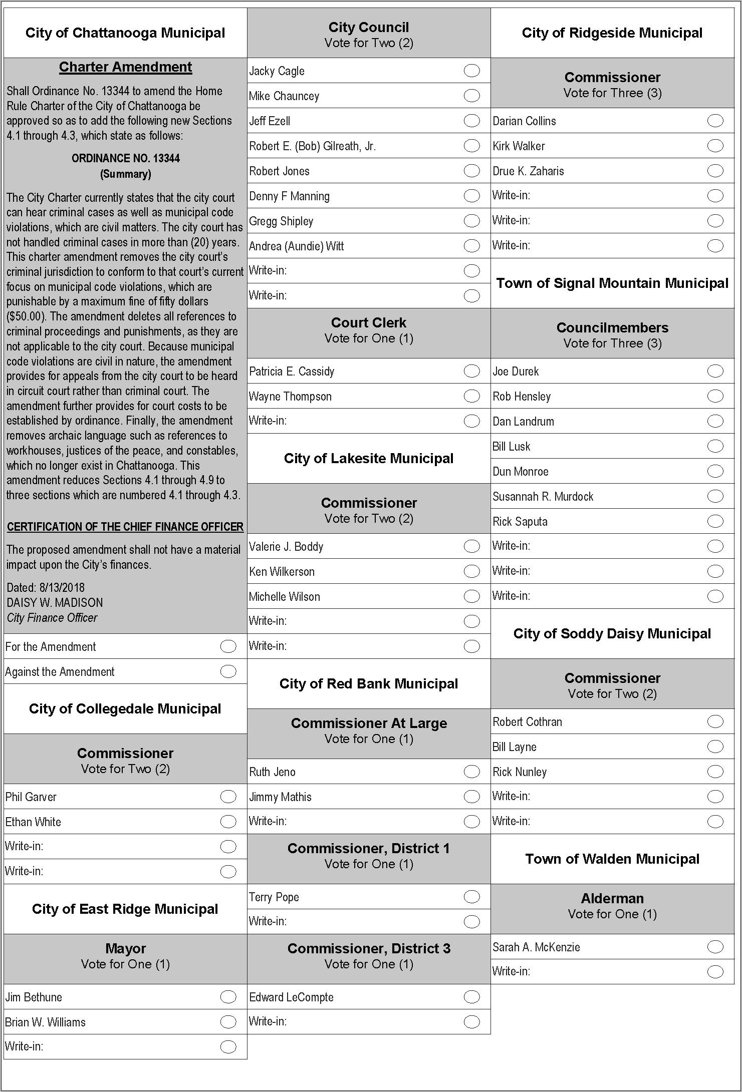 Voting Ballot Template Pdf