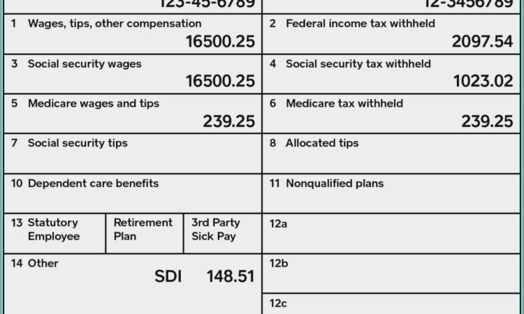 W2 Form 2013 Fillable