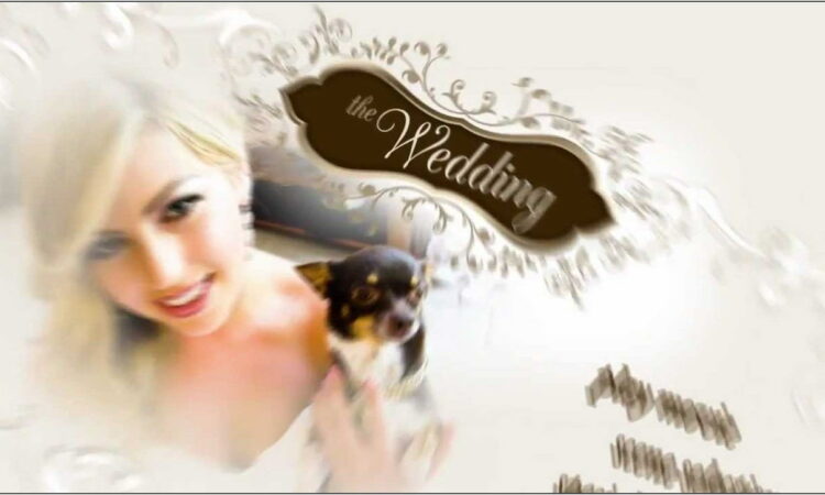 Wedding Dvd Menu Templates