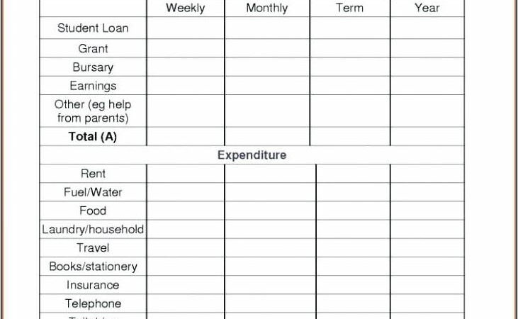 Weekly Household Expenses Template