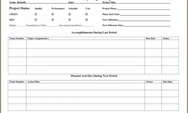 Weekly Sales Report Template Free Download