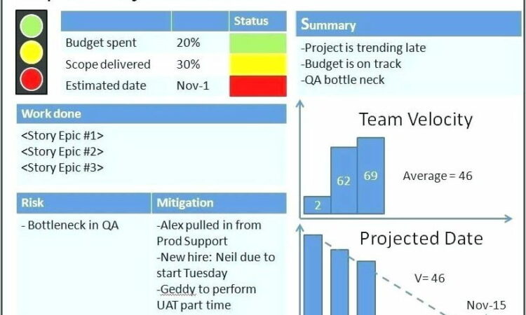 Weekly Sales Report Template Ppt