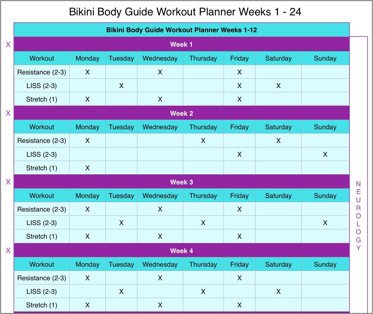 Weekly Workout Planner Template Kayla