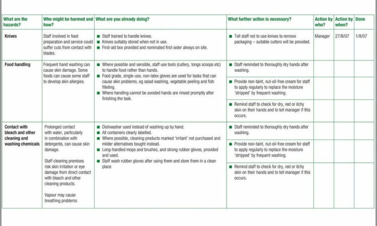 Whs Risk Assessment And Control Template