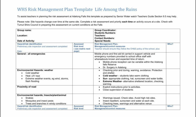 Whs Risk Assessment Form